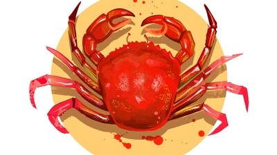 Cancer Daily Horoscope Today for April 21, 2023: Cancer will feel a jolt of energy today, pushing them forward in all aspects of life, giving them a new found enthusiasm.