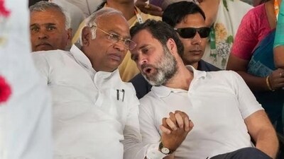 The order on Rahul Gandhi's appeal to stay his conviction is likely today.