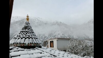 Hailstorm, thunderstorm followed by rain in the upper areas of Himachal, including Shimla and Seraj areas of Mandi, have caused extensive damage to fruit trees, particularly apple, which were in the blooming stage, and vegetables. (HT Photo) Hailstorm, thunderstorm followed by rain in the upper areas of Himachal, including Shimla and Seraj areas of Mandi, have caused extensive damage to fruit trees, particularly apple, which were in the blooming stage, and vegetables. (HT Photo)