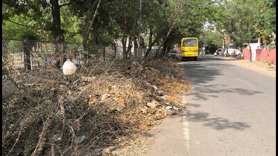 Heaps of organic waste dumped on roadside near Rakhbag in Ludhiana. (Manish/HT)