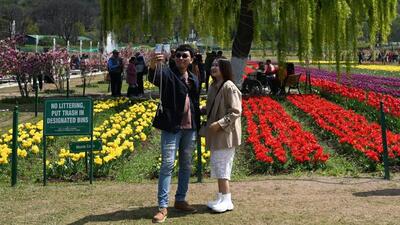 The tulip garden in Sirnagar, Kashmir, has drawn over 3.65 lakh tourists since its opening on March 1 this year. (HT File) The tulip garden in Sirnagar, Kashmir, has drawn over 3.65 lakh tourists since its opening on March 1 this year. (HT File)