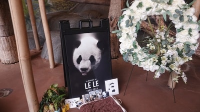 The cause of Lin Hui’s death was not immediately clear but she appeared to have become ill Tuesday. (AP/Representative image) The cause of Lin Hui’s death was not immediately clear but she appeared to have become ill Tuesday. (AP/Representative image)