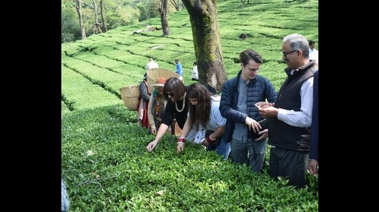 The G20 delegates on Thursday experienced the natural and cultural wonders of Himachal during their excursion to Dharamshala on the second day of the Research Innovation and Initiative Gathering (RIIG) Conference. The delegates also visited the Kangra Art Museum, where they witnessed a live Kangra session and learned about the rich art and culture of Kangra. (HT Photo)