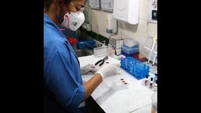 During scrutiny rounds, the blood banks were found breaching norms such as not maintaining a blood cold chain or functioning without blood transfusion officers (BTO) amongst other things. (REPRESENTATIVE PIC)