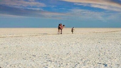 Kutch, Gujarat: Kutch is a beautiful region located in the western state of Gujarat. It's known for its beautiful white salt desert, traditional handicrafts, and rich cultural heritage. The region is a great place to explore the local culture, visit the traditional villages, and enjoy the stunning natural beauty of the area.&nbsp; (Twitter/Gujarat Information Department)