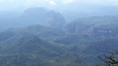 Pachmarhi, Madhya Pradesh: Pachmarhi is a beautiful hill station located in the central state of Madhya Pradesh. It's known for its beautiful waterfalls, stunning valleys, and rich biodiversity. The area is a great place to go trekking, explore the local culture, and enjoy the beautiful surroundings. (File Photo)