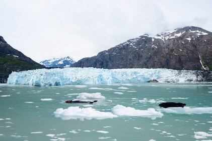 Research has warned the Atlantic Ocean circulation system has weakened significantly over the last 150 years. (Shutterstock) Research has warned the Atlantic Ocean circulation system has weakened significantly over the last 150 years. (Shutterstock)