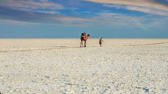 Kutch, Gujarat: Kutch is a beautiful region located in the western state of Gujarat. It's known for its beautiful white salt desert, traditional handicrafts, and rich cultural heritage. The region is a great place to explore the local culture, visit the traditional villages, and enjoy the stunning natural beauty of the area.&nbsp;(Twitter/Gujarat Information Department)