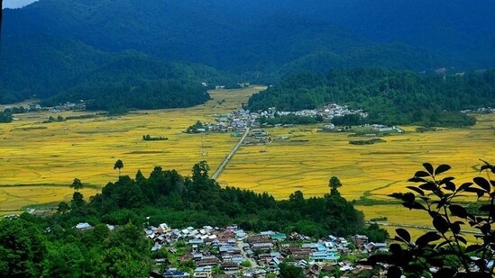 Ziro Valley, Arunachal Pradesh: Ziro Valley is a beautiful valley located in the northeastern state of Arunachal Pradesh. It's known for its stunning natural beauty, rice fields, and traditional tribal culture. The valley is a great place to explore the local culture, go trekking, and enjoy the scenic beauty of the area.&nbsp;(Pinterest)