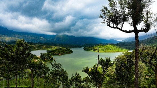 Munnar, Kerala: Munnar is a beautiful hill station located in the southern state of Kerala. It's known for its beautiful tea plantations, stunning waterfalls, and rich biodiversity. The area is a great place to go trekking, explore the local culture, and enjoy the beautiful surroundings.&nbsp;(Unsplash)