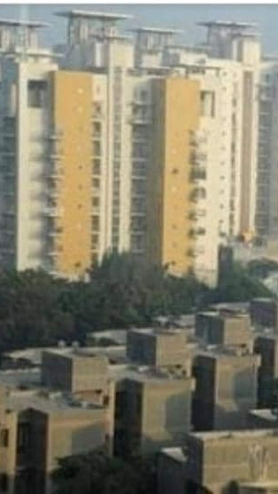 The consultant said that areas in east and north Bengaluru have seen a spurt in rental demand.
