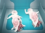 Episode 4, titled ‘Kuku’, delves deeper into the mysterious world of Heavenly delusion, revealing more secrets and answering some of the questions that have been nagging at viewers since the beginning of the series.(Production I.G)
