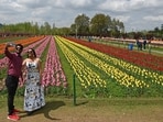 The world-famous and Asia's largest tulip garden was visited by three lakh eighty thousand visitors, indicating a good tourist season for Kashmir this year. The world-famous and Asia's largest tulip garden was visited by three lakh eighty thousand visitors, indicating a good tourist season for Kashmir this year.