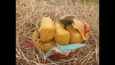 Border Security Force (BSF) recovered 5-kg heroin allegedly dropped by a drone which had sneaked in to the Indian territory from the Pakistan side in the outskirts of Daoke Village under the Ajnala sub-division in Amritsar on Saturday. (HT Photo)