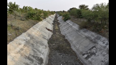 Representational image. (Hindustan Times) Representational image. (Hindustan Times)