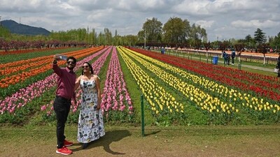 The world-famous and Asia's largest tulip garden was visited by three lakh eighty thousand visitors, indicating a good tourist season for Kashmir this year. (Waseem Andrabi/HT) The world-famous and Asia's largest tulip garden was visited by three lakh eighty thousand visitors, indicating a good tourist season for Kashmir this year. (Waseem Andrabi/HT)