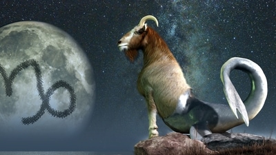 Weekly Horoscope Leo, April 23-29, 2023: This week Capricorn should trust in the process of their journey to get where they want to go.