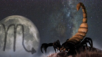 Weekly Horoscope Scorpio, April 23-29, 2023 This week brings plenty of opportunities for Scorpios to secure their financial future.