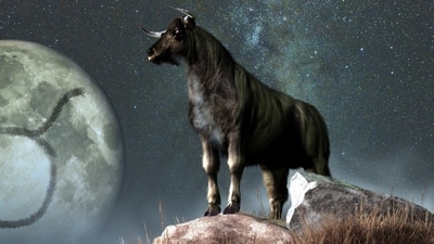 Taurus Daily Horoscope Today for April 23-29,2023: This week for Taureans might not be a lucrative one. (shutterstock) Taurus Daily Horoscope Today for April 23-29,2023: This week for Taureans might not be a lucrative one. (shutterstock)