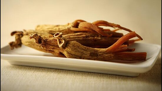 The nine accused duping the Ambala resident of ₹1.8 crore by luring him with profit through the sale of ginseng, a traditional East Asian medicinal plant. (Shutterstock)