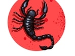 Scorpio Daily Horoscope Today for April 24, 2023: Let the passion and spark between you and your beloved grow even more. Scorpio Daily Horoscope Today for April 24, 2023: Let the passion and spark between you and your beloved grow even more.