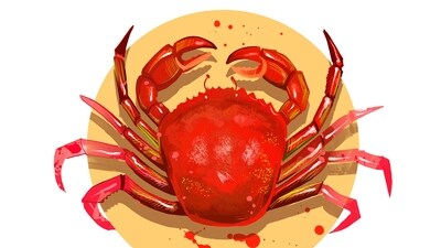Cancer Daily Horoscope Today for April 24, 2023: It’s an especially good day for Cancers looking for love. Cancer Daily Horoscope Today for April 24, 2023: It’s an especially good day for Cancers looking for love.