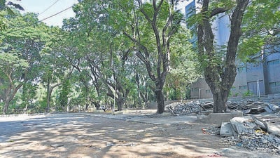 Mumbai, India - April 03, 2023: A view of Patwardhan Park, at Bandra, in Mumbai, India, on Monday, April 03, 2023. (Photo by Vijay Bate/HT Photo) (HT PHOTO) Mumbai, India - April 03, 2023: A view of Patwardhan Park, at Bandra, in Mumbai, India, on Monday, April 03, 2023. (Photo by Vijay Bate/HT Photo) (HT PHOTO)
