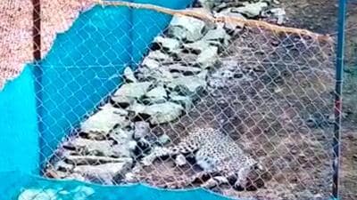 Officials said that Uday died during treatment around 4pm and the cause of death would be clear after the autopsy. (HT) Officials said that Uday died during treatment around 4pm and the cause of death would be clear after the autopsy. (HT)