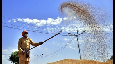 The Punjab food and civil supplies department has implemented the vehicle tracking system (VTS) during the ongoing wheat procurement by installing Global Positioning System (GPS) in 26,250 vehicles used in transportation of wheat from the mandis to storage points or the railheads from where the freshly harvested produce is sent to consumer states.