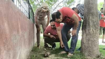 The bombshell was removed by a bomb disposal squad from the army. (Sant Arora/HT)