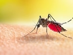 World Malaria Day 2022: Yoga asanas to relieve symptoms of fever