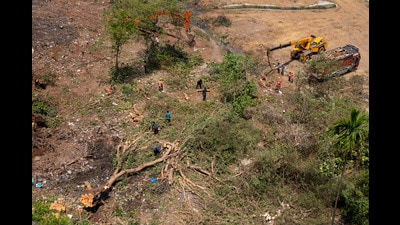 Mumbai, India - April 24, 2023: MMRCL on Tuesday morning felled at least 177 additional trees in Aarey Colony's Prajapurpada village, to make way for the Metro-3 Line, in Mumbai, India, on Monday, April 24, 2023. (Photo by Anshuman Poyrekar/ Hindustan Times) (Anshuman Poyrekar/HT PHOTO) Mumbai, India - April 24, 2023: MMRCL on Tuesday morning felled at least 177 additional trees in Aarey Colony's Prajapurpada village, to make way for the Metro-3 Line, in Mumbai, India, on Monday, April 24, 2023. (Photo by Anshuman Poyrekar/ Hindustan Times) (Anshuman Poyrekar/HT PHOTO)