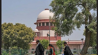 The Supreme Court of India (PTI) The Supreme Court of India (PTI)