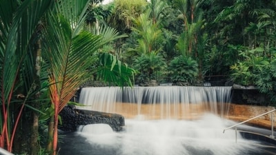 Costa Rica: With its abundant biodiversity, Costa Rica offers a unique opportunity to connect with nature while practising wellness activities. Visitors can explore the rainforest, hike volcanoes, or relax on the beach, all while enjoying organic, wholesome cuisine and wellness therapies. (Pexels) Costa Rica: With its abundant biodiversity, Costa Rica offers a unique opportunity to connect with nature while practising wellness activities. Visitors can explore the rainforest, hike volcanoes, or relax on the beach, all while enjoying organic, wholesome cuisine and wellness therapies. (Pexels)