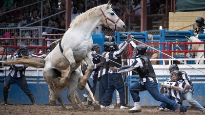 Inmates attempt to control a horse to ride it during the “Wild Horse Racing” event at the Angola Prison Rodeo held at the Louisiana State Penitentiary on April 23, in Louisiana. The rodeo, which is in its 57th year, features inmates competing in rodeo events and selling crafts they make at the prison, reported AFP. (Brendan Smialowski / AFP) Inmates attempt to control a horse to ride it during the “Wild Horse Racing” event at the Angola Prison Rodeo held at the Louisiana State Penitentiary on April 23, in Louisiana. The rodeo, which is in its 57th year, features inmates competing in rodeo events and selling crafts they make at the prison, reported AFP. (Brendan Smialowski / AFP)