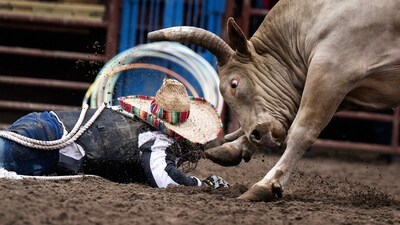 An inmate falls to the ground during bull riding during the Angola Prison Rodeo. (Brendan Smialowski / AFP) An inmate falls to the ground during bull riding during the Angola Prison Rodeo. (Brendan Smialowski / AFP)