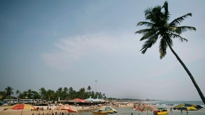 Morjim Beach: Morjim Beach is a serene and peaceful beach known for its clean waters, soft sands, and tranquil surroundings. The place is also a nesting ground for several species of endangered turtles, making it a perfect destination for nature lovers.&nbsp; (Reuters)
