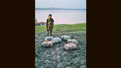 Bags of smuggled shellfish (HT Photo)