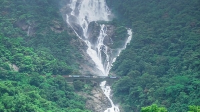 Dudhsagar Waterfalls: Dudhsagar Waterfalls is a four-tiered waterfall that cascades from a height of over 320 meters. The waterfall is surrounded by lush green forests and is a sight to behold during the monsoon season.&nbsp; 