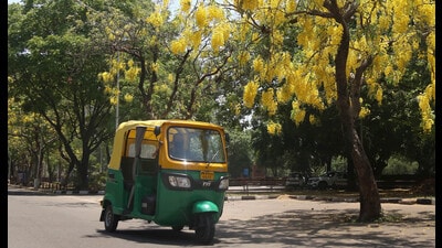 Hundreds of Chandigarh registered auto-rickshaw ply on city roads, and several more also come in from neighbouring Mohali and Panchkula. (HT Photo) Hundreds of Chandigarh registered auto-rickshaw ply on city roads, and several more also come in from neighbouring Mohali and Panchkula. (HT Photo)