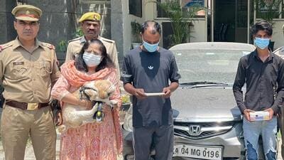 The Gautam Budh Nagar police recovered Bhavna Vijan’s Honda City car along with her two-year-old pet and arrested three suspects for the crime. (HT Photo) The Gautam Budh Nagar police recovered Bhavna Vijan’s Honda City car along with her two-year-old pet and arrested three suspects for the crime. (HT Photo)