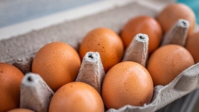 Eggs are filling in nature and helps in curbing hunger for a long time. It also helps with Anemia. (Unsplash) Eggs are filling in nature and helps in curbing hunger for a long time. It also helps with Anemia. (Unsplash)