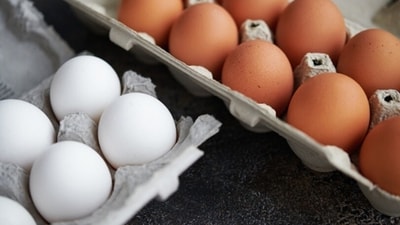 Health experts always suggest consumption of eggs for its many benefits. From having a high nutritional value to helping in reducing the risk of cardiovascular diseases, eggs come with several benefits. “Eggs are rich in nutrients and are highly beneficial to health. There are innumerable studies, which show that eggs do not increase the risk of heart disease,” added Nutritionist Anjali Mukerjee as she spoke of a few facts about eggs. (Unsplash) Health experts always suggest consumption of eggs for its many benefits. From having a high nutritional value to helping in reducing the risk of cardiovascular diseases, eggs come with several benefits. “Eggs are rich in nutrients and are highly beneficial to health. There are innumerable studies, which show that eggs do not increase the risk of heart disease,” added Nutritionist Anjali Mukerjee as she spoke of a few facts about eggs. (Unsplash)