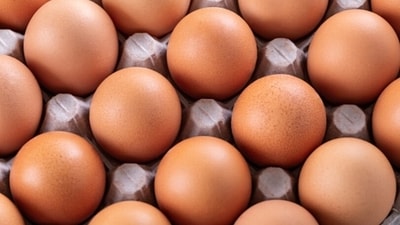 Anjali added that eggs are loaded with the best kind of proteins, which also helps in loweing blood sugar in the body. (Unsplash) Anjali added that eggs are loaded with the best kind of proteins, which also helps in loweing blood sugar in the body. (Unsplash)