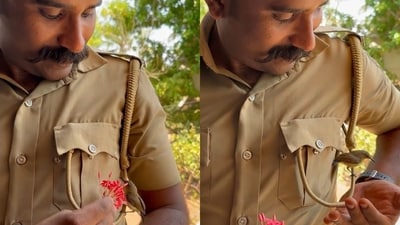 Kerala cop interacting with an unexpected visitor. (Twitter/@TheKeralaPolice) Kerala cop interacting with an unexpected visitor. (Twitter/@TheKeralaPolice)