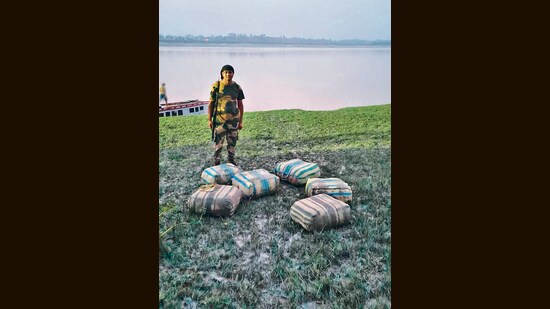 Bags of smuggled shellfish (HT Photo)