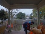 The image, taken from the video, shows the delivery executive giving some pets to the dog. The image, taken from the video, shows the delivery executive giving some pets to the dog.