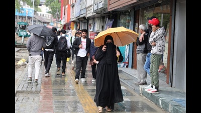 Light to moderate showers with lightning and winds were observed at many places of the Union Territory particularly in the afternoon. (HT Photo) Light to moderate showers with lightning and winds were observed at many places of the Union Territory particularly in the afternoon. (HT Photo)