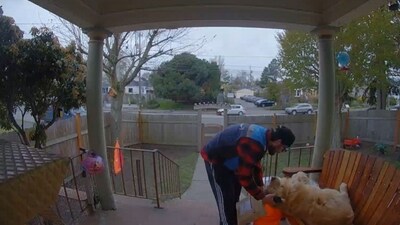 The image, taken from the video, shows the delivery executive giving some pets to the dog. (Reddit/@b0ssdawg) The image, taken from the video, shows the delivery executive giving some pets to the dog. (Reddit/@b0ssdawg)