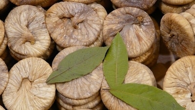 Fig or anjeer is regarded as a cooling food according to Ayurveda. It also helps in bowel movements and aids in removing toxins from the body. Anjeer also helps in controlling blood sugar levels. (Pixabay) Fig or anjeer is regarded as a cooling food according to Ayurveda. It also helps in bowel movements and aids in removing toxins from the body. Anjeer also helps in controlling blood sugar levels. (Pixabay)